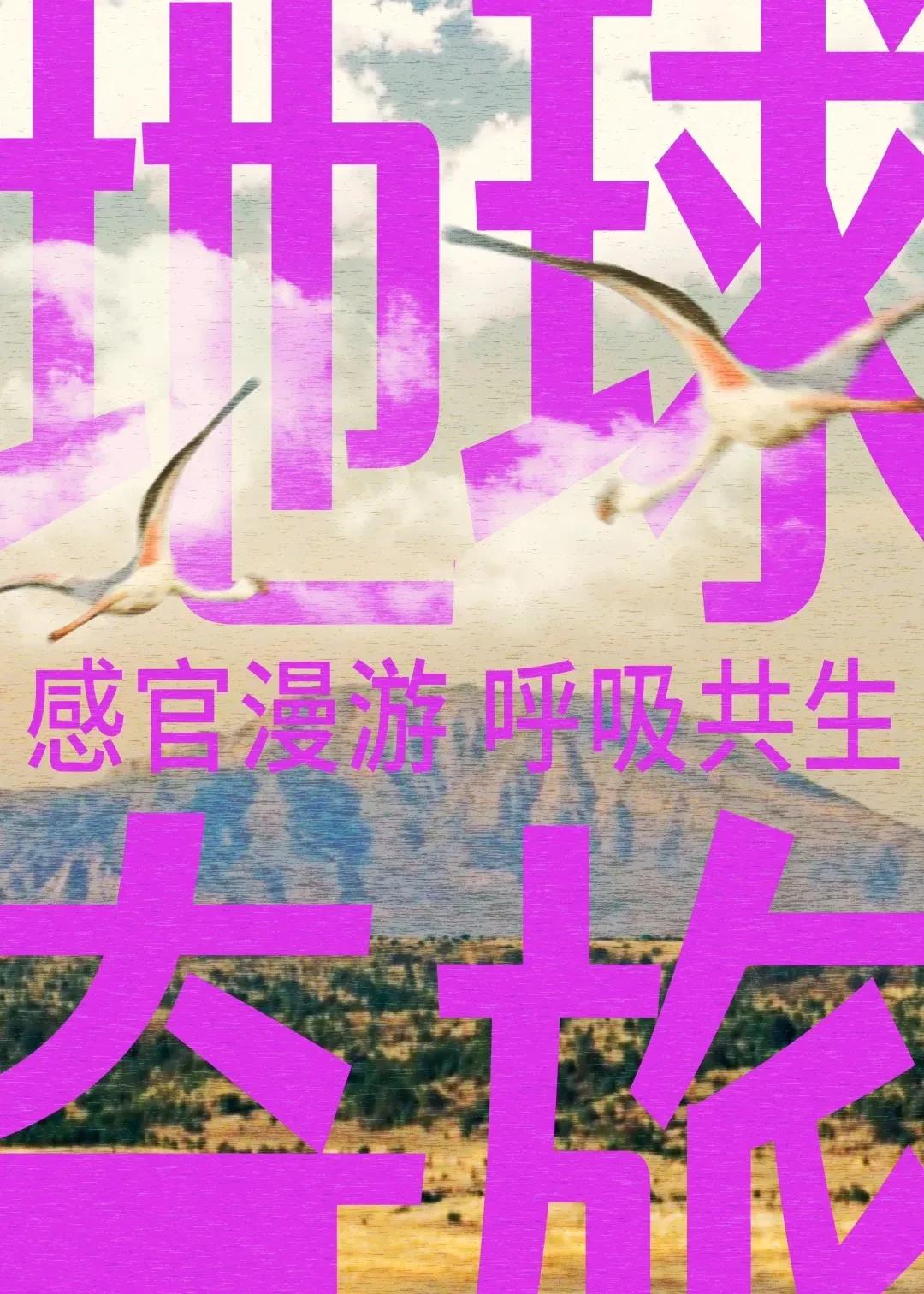 一場(chǎng)地球奇旅，喚醒感官，重啟對(duì)世界的感知