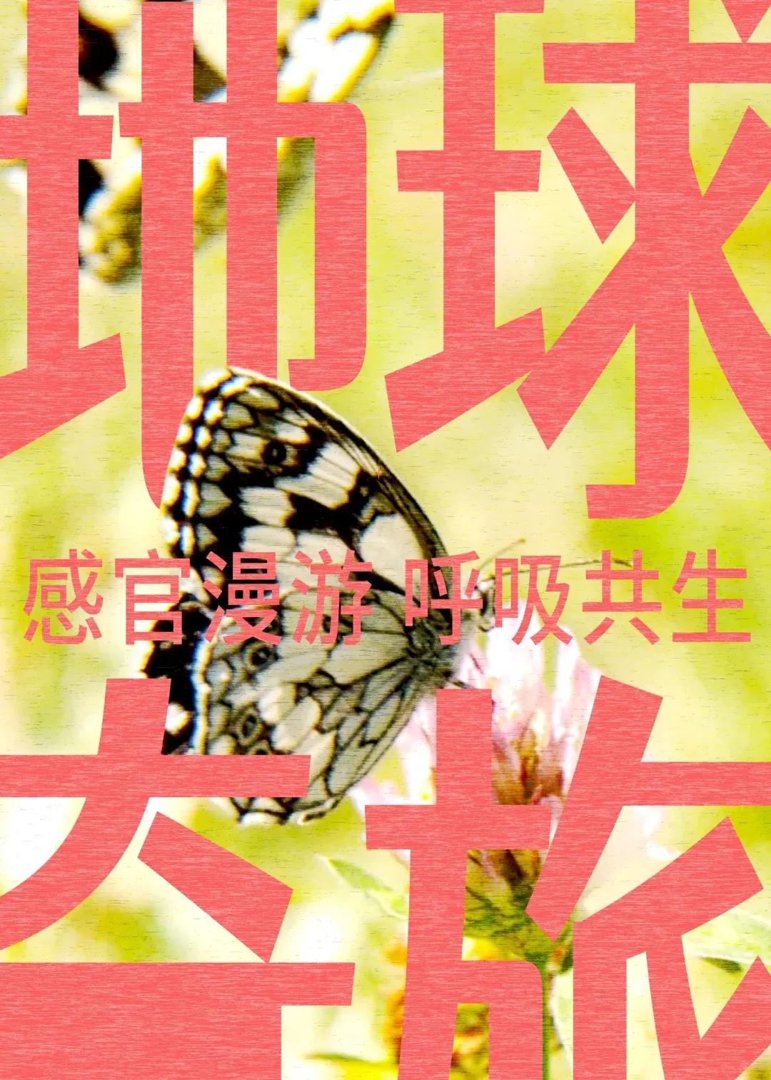 1756452135455896.jpg 640 (2)(1).jpg